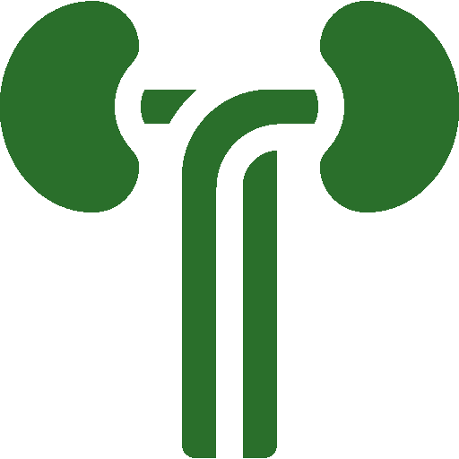 kidneys